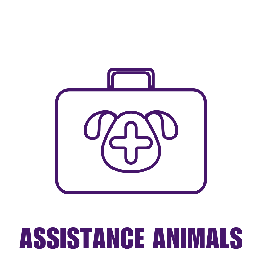 animals.png
